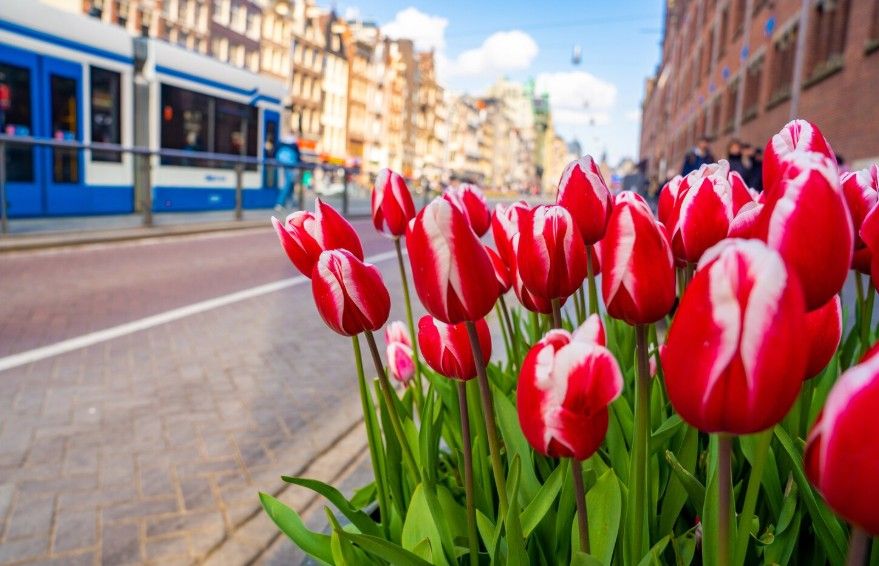 Загородный отдых весной